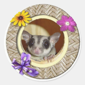 Sugar Glider Classic Round Sticker