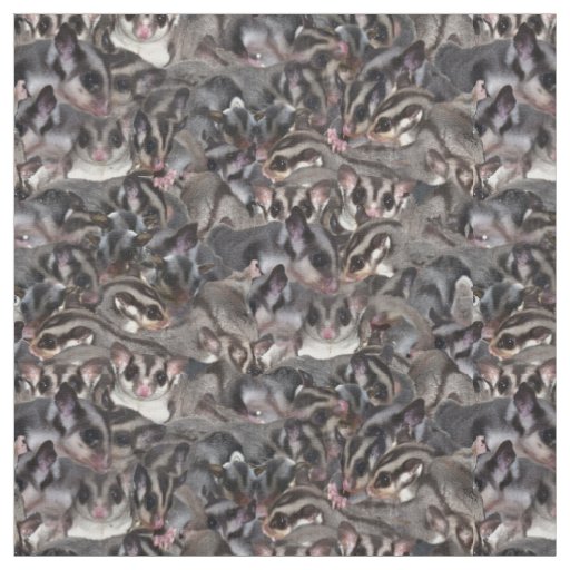 Sugar Glider Collage. Fabric