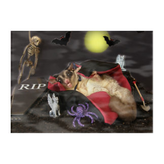 Sugar Glider Halloween Acrylic Print