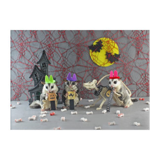Sugar Glider Halloween Acrylic Print