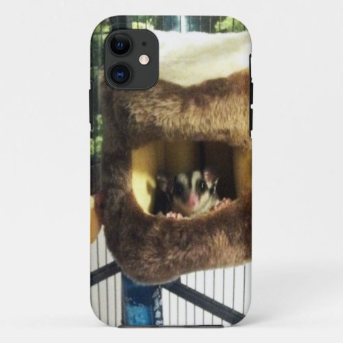 Sugar Glider in Furry Tree Truck Hanging Bed iPhone 11 Case