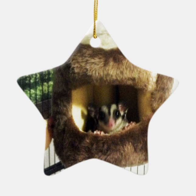 Sugar Glider in Furry Tree Truck Hanging Bed Ceramic Ornament (Front)