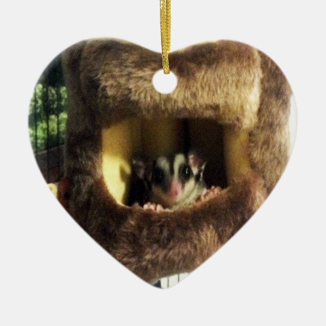 Sugar Glider in Furry Tree Truck Hanging Bed Ceramic Ornament (Front)