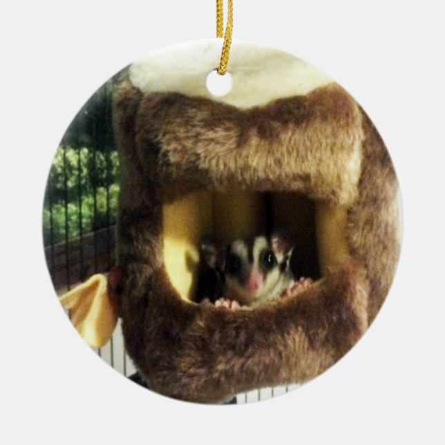 Sugar Glider in Furry Tree Truck Hanging Bed Ceramic Ornament (Front)