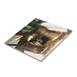 Sugar Glider in Furry Tree Truck Hanging Bed Ceramic Tile