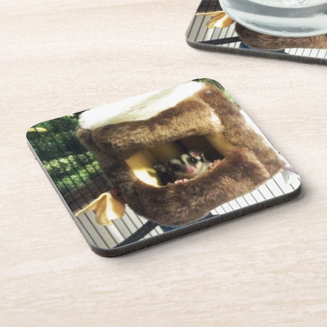 Sugar Glider in Furry Tree Truck Hanging Bed Drink Coaster (Left Side)