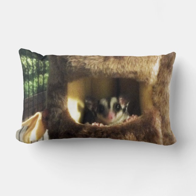 Sugar Glider in Furry Tree Truck Hanging Bed Lumbar Pillow (Front)
