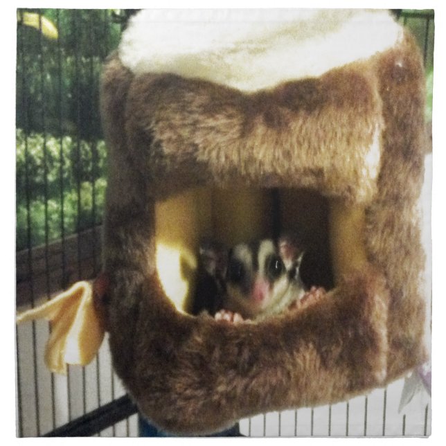 Sugar Glider in Furry Tree Truck Hanging Bed Napkin (Front)