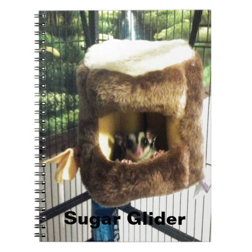 Sugar Glider in Furry Tree Truck Hanging Bed Notebook