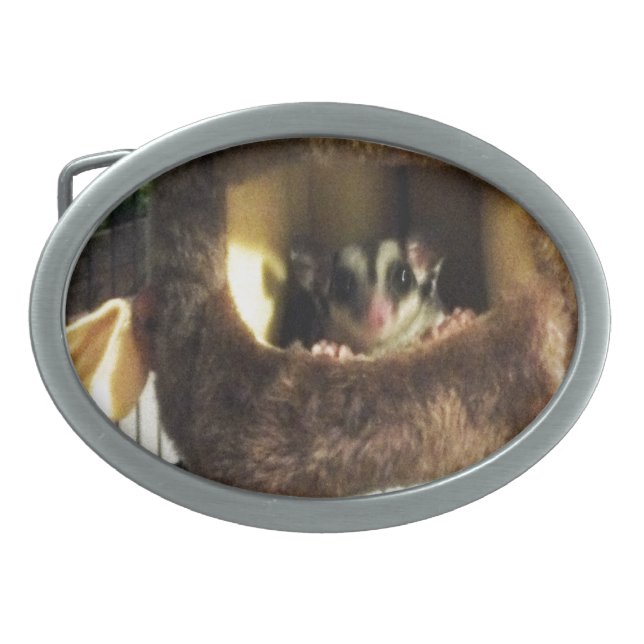 Sugar Glider in Furry Tree Truck Hanging Bed Oval Belt Buckle (Front)