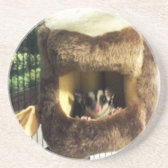 Sugar Glider in Furry Tree Truck Hanging Bed Sandstone Coaster (Front)