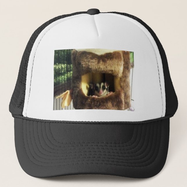 Sugar Glider in Furry Tree Truck Hanging Bed Trucker Hat (Front)