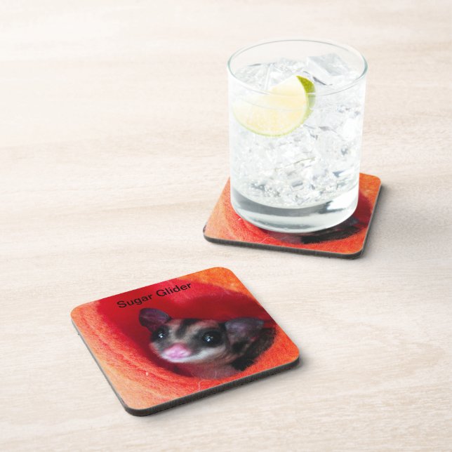 Sugar Glider in Orange Hanging Bed Beverage Coaster (Right Side)
