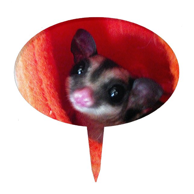 Sugar Glider in Orange Hanging Bed Cake Topper (Front)
