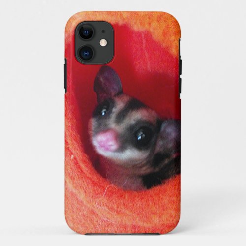 Sugar Glider in Orange Hanging Bed iPhone 11 Case