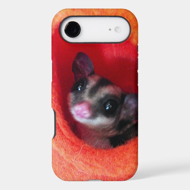 Sugar Glider in Orange Hanging Bed Case-Mate iPhone Case (Back)