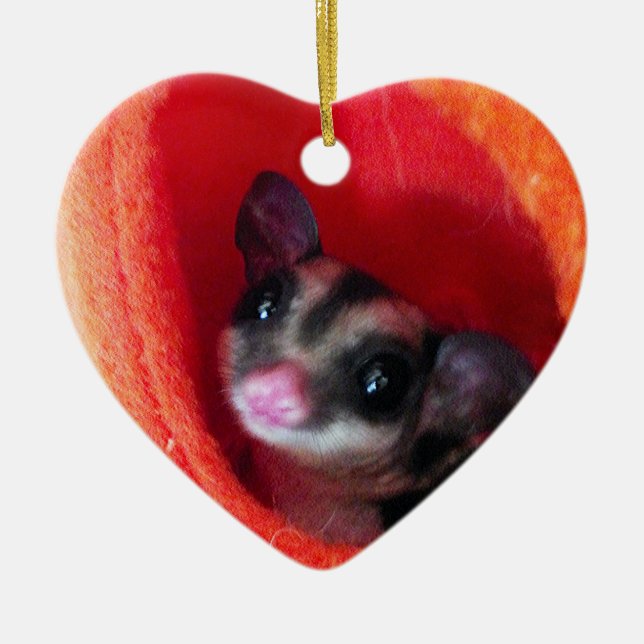 Sugar Glider in Orange Hanging Bed Ceramic Ornament (Front)