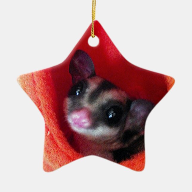Sugar Glider in Orange Hanging Bed Ceramic Ornament (Front)