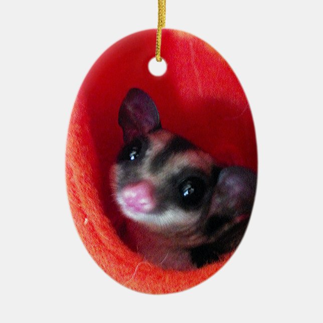 Sugar Glider in Orange Hanging Bed Ceramic Ornament (Front)