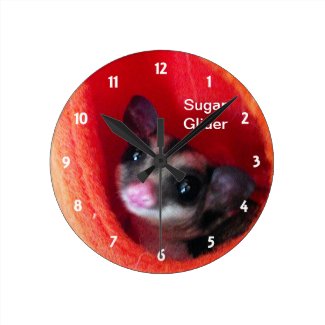 Sugar Glider in Orange Hanging Bed Round Wallclocks