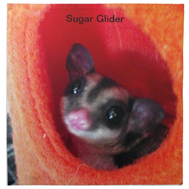 Sugar Glider in Orange Hanging Bed Cloth Napkin (Front)