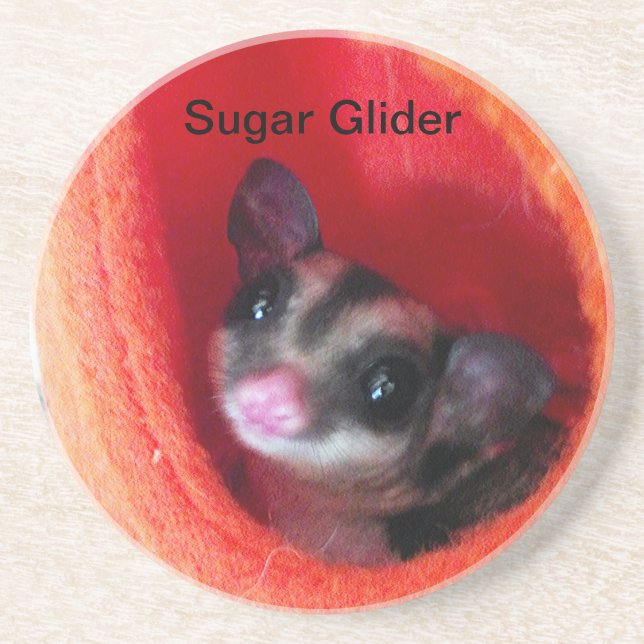 Sugar Glider in Orange Hanging Bed Drink Coaster (Front)