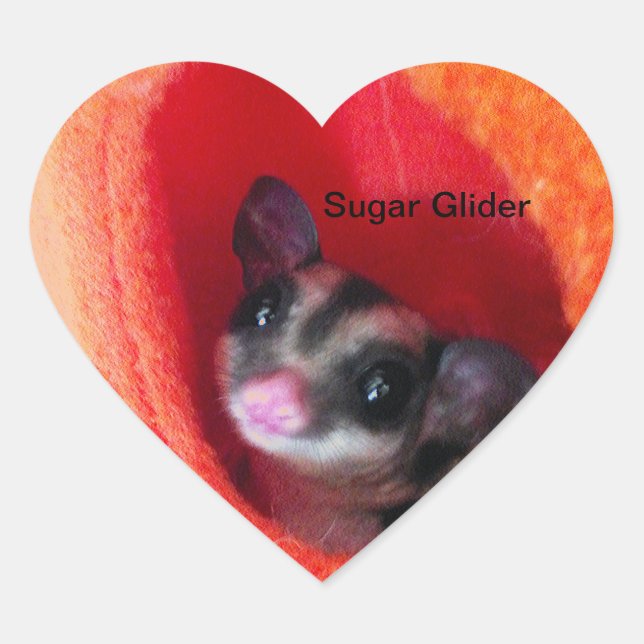 Sugar Glider in Orange Hanging Bed Heart Sticker (Front)