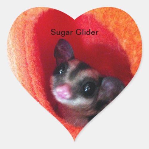 Sugar Glider in Orange Hanging Bed Heart Sticker
