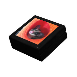 Sugar Glider in Orange Hanging Bed Jewelry Box
