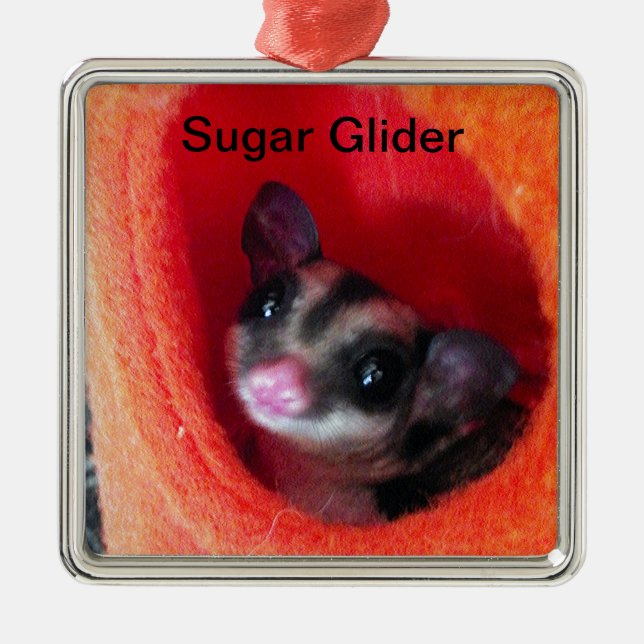 Sugar Glider in Orange Hanging Bed Metal Ornament (Front)