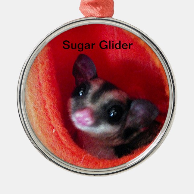 Sugar Glider in Orange Hanging Bed Metal Ornament (Front)