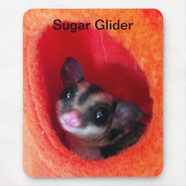 Sugar Glider in Orange Hanging Bed Mouse Pad (Front)