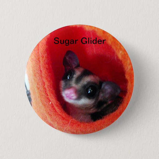 Sugar Glider in Orange Hanging Bed Pinback Button (Front)