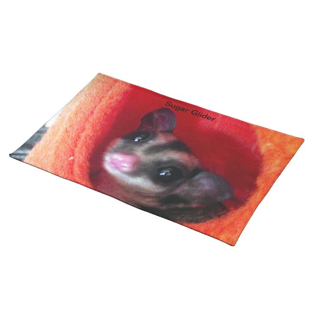 Sugar Glider in Orange Hanging Bed Placemat (On Table)