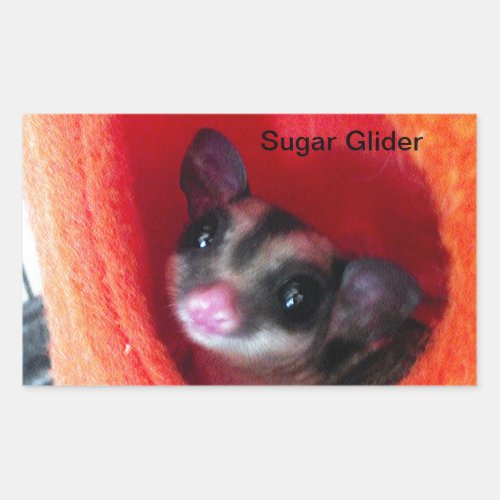 Sugar Glider in Orange Hanging Bed Rectangular Sticker