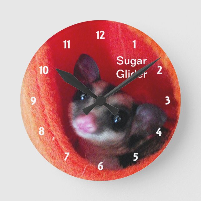 Sugar Glider in Orange Hanging Bed Round Clock (Front)