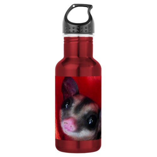 Sugar Glider in Orange Hanging Bed Water Bottle