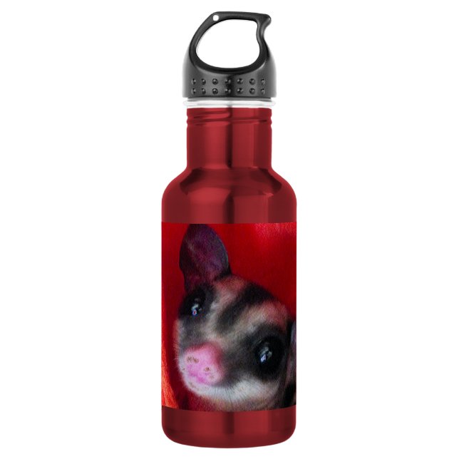 Sugar Glider in Orange Hanging Bed Water Bottle (Front)