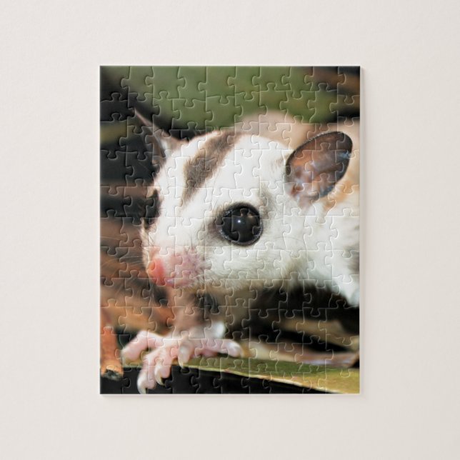 Sugar Glider Jigsaw Puzzle (Vertical)