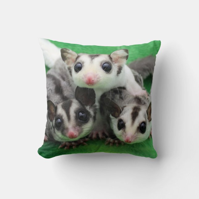 Sugar Glider Joey Trio Throw Pillow (Front)