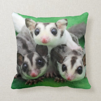 Sugar Glider Joey Trio Throw Pillow
