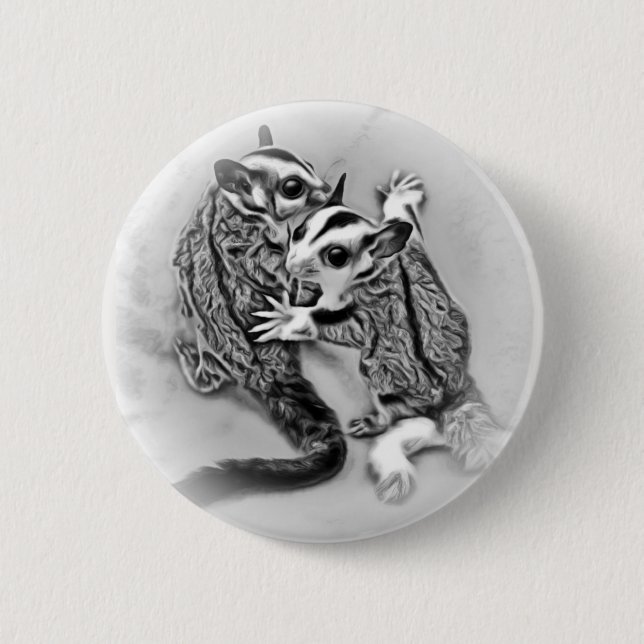 Sugar Glider Joeys Black & White Pinback Button (Front)
