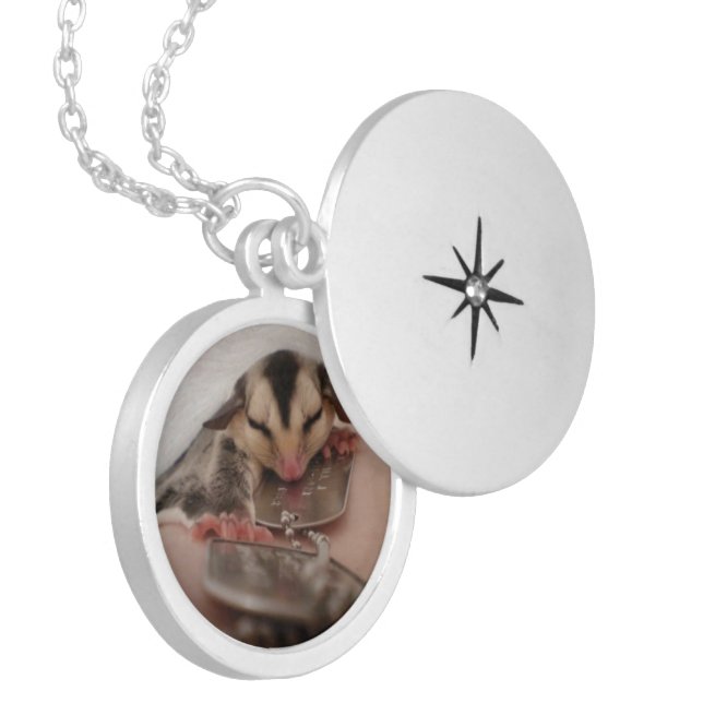 sugar glider locket (Front Left)