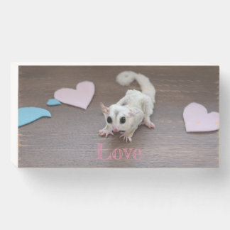 Sugar Glider Love Wooden Box Sign
