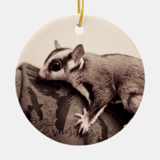 Sugar Glider ornament (Front)