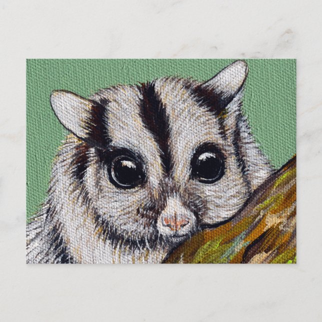 Sugar Glider Painting Postcard (Front)