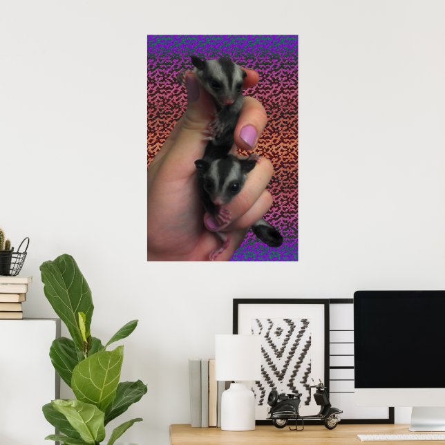 Sugar Glider Poster (Home Office)