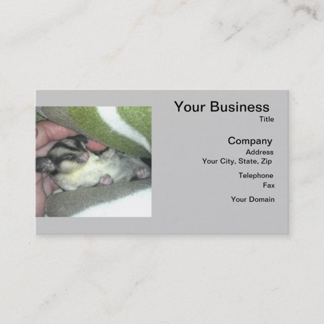 Sugar Glider Sleeping in Blanket Business Card (Front)