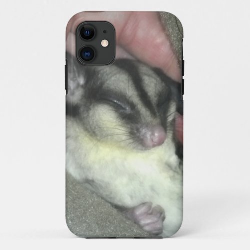 Sugar Glider Sleeping in Blanket iPhone 11 Case