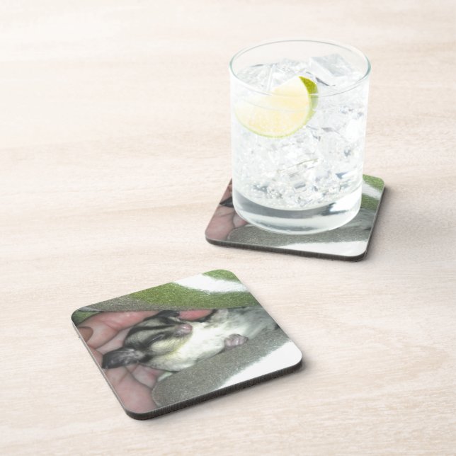 Sugar Glider Sleeping in Blanket Coaster (Right Side)